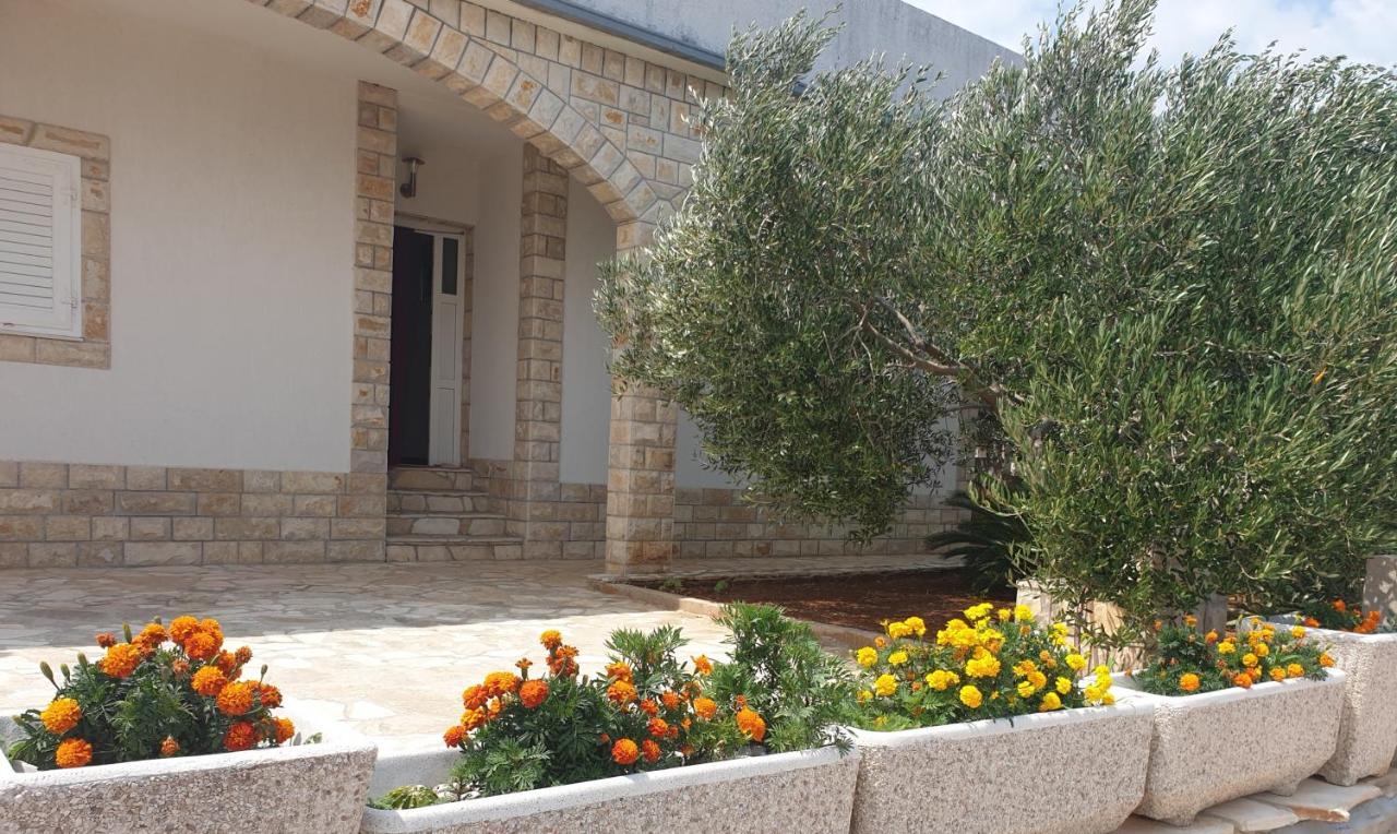 Villa Senka Nečujam Εξωτερικό φωτογραφία